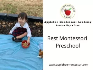 Best Montessori Preschool – Applebee