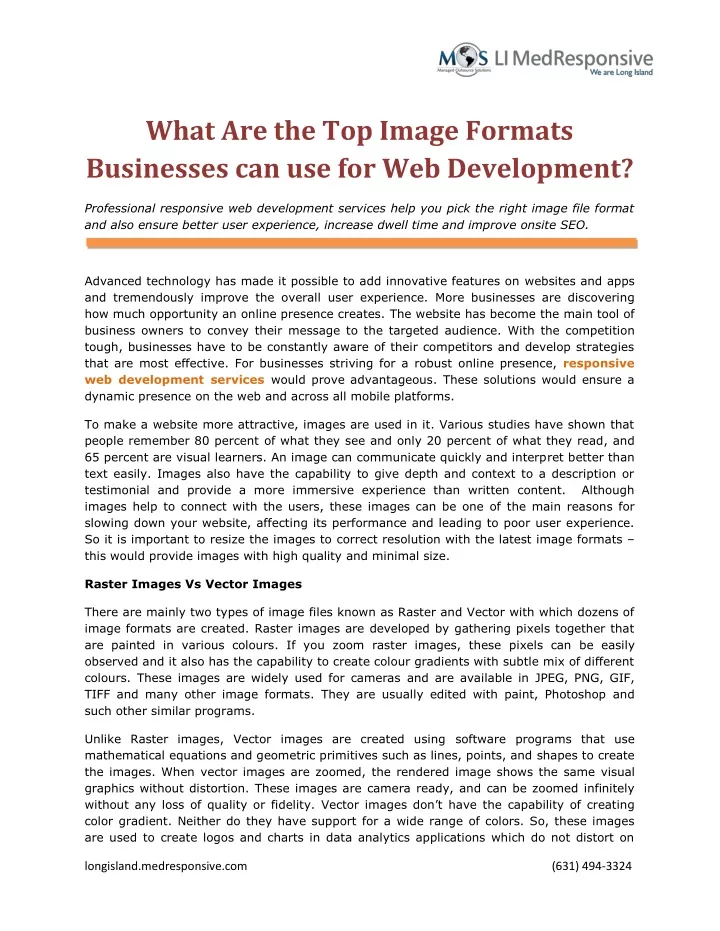 what are the top image formats businesses