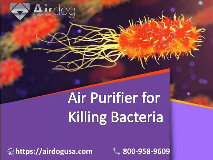 air purifier for killing bacteria