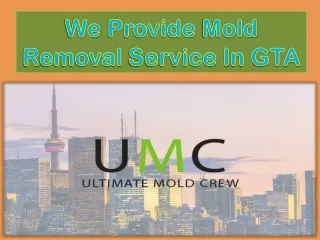We Provide Mold Removal Service In GTA