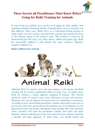 Three Secrets all Practitioners Must Know Before Going for Reiki Training for Animals