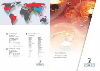 worldwide associated companies
