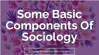 Basic Components Of Sociology explained by Sociology Assignment Help Providers