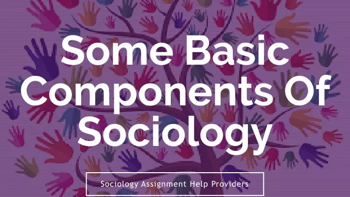 some basic components of sociology