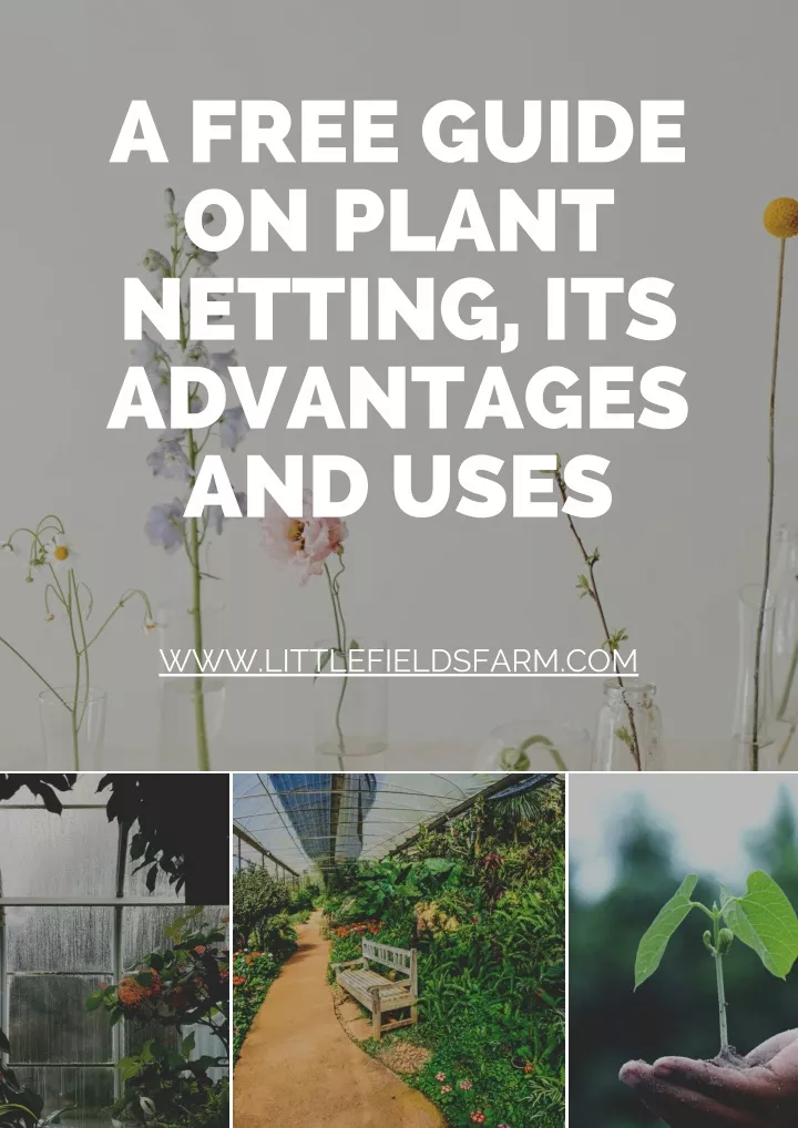 a free guide on plant netting its advantages