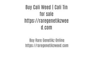 Buy Cali Weed | Cali Tin for sale https://raregenetikzweed.com