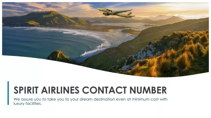 spirit airlines contact number