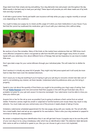dogs need more than simply serving and petting