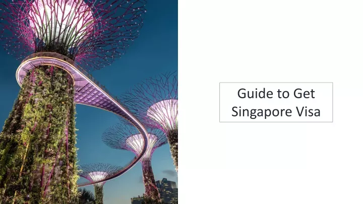 guide to get singapore visa