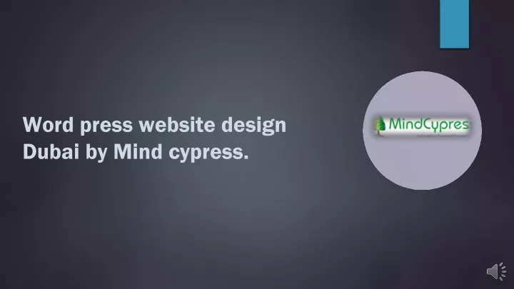 word press website design dubai by mind cypress