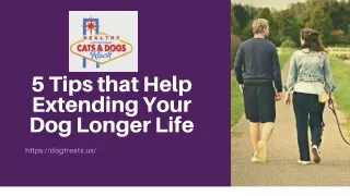 5 tips that help extending your dog longer life