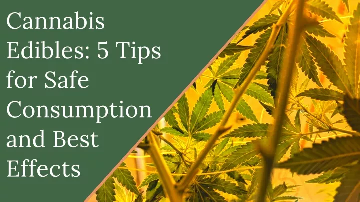 cannabis edibles 5 tips for safe consumption