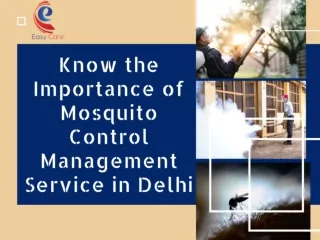 Know the Importance of Mosquito Control Management Service in Delhi