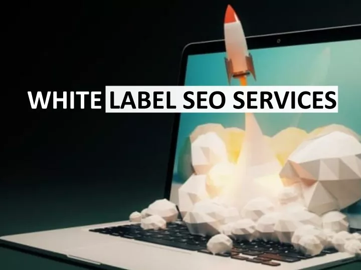 white label seo services
