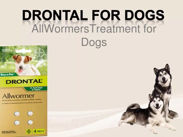 allwormerstreatment for dogs