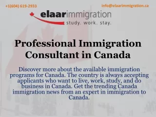 Professional Immigration Consultant in Canada