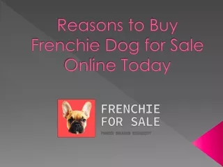 Reasons to Buy Frenchie Dog for Sale Online Today