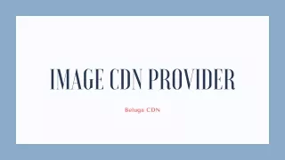 image cdn provider