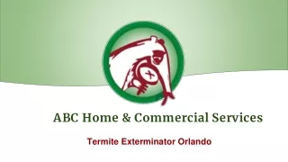 Termite Exterminator Orlando