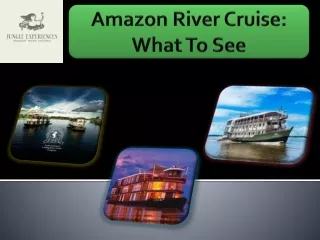 Amazon River Cruise: What To See