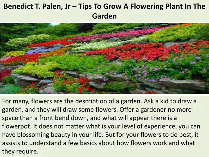 benedict t palen jr tips to grow a flowering plant in the garden