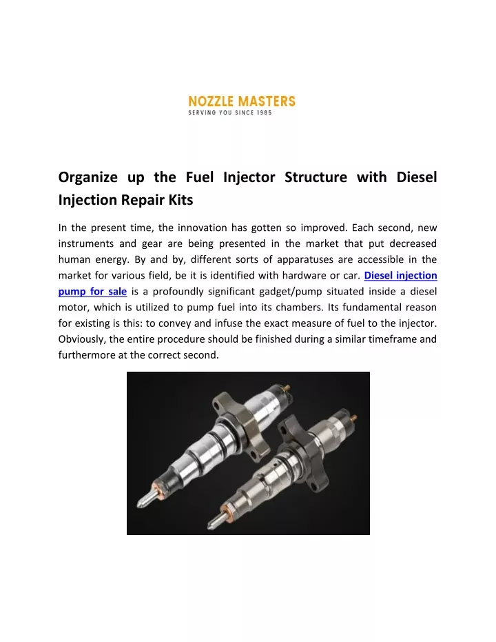 organize up the fuel injector structure with