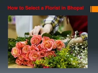 How to Select a Florist in Bhopal