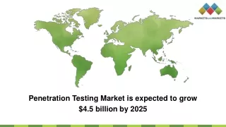 penetration testing market is expected to grow