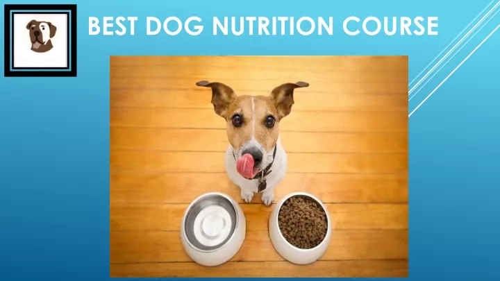 best dog nutrition course