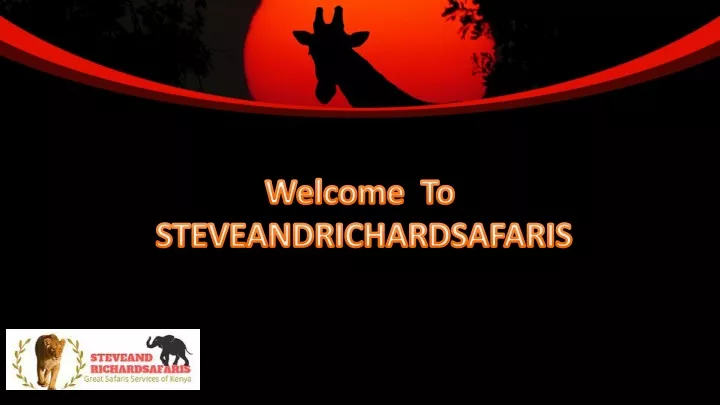 welcome to steveandrichardsafaris