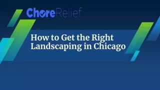 how to get the right landscaping in chicago
