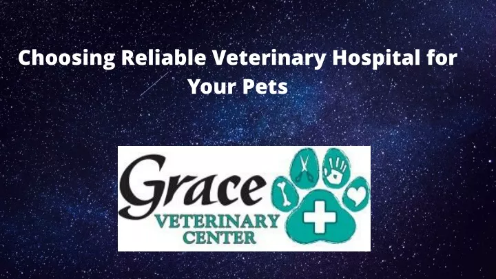 choosing reliable veterinary hospital for your
