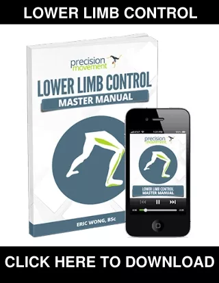 Lower Limb Control PDF, eBook by Eric Wong
