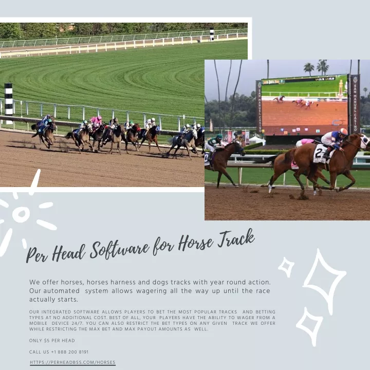 per head software for horse track