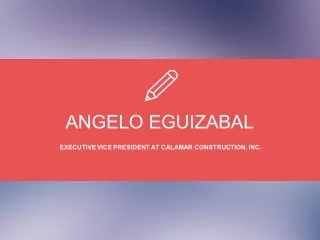 Angelo Eguizabal - Worked as Regional Manager at PEMCO Aeroplex, Inc.