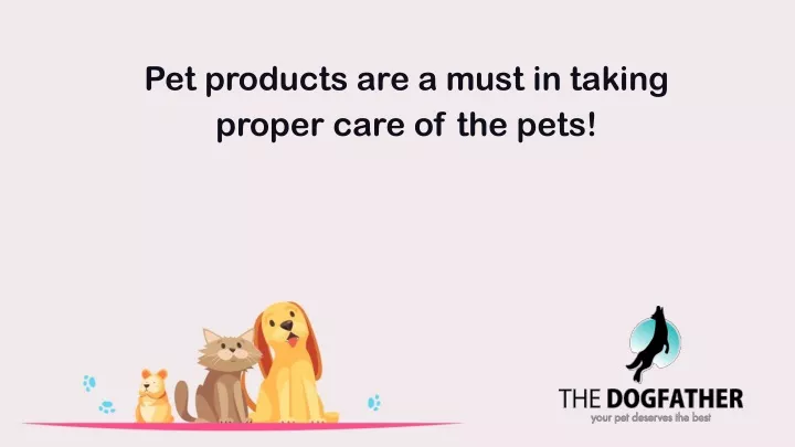 pet products are a must in taking proper care
