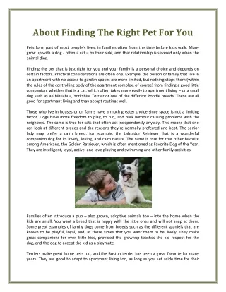 about finding the right pet for you