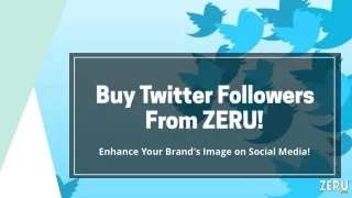 Buy Twitter Followers From ZERU!