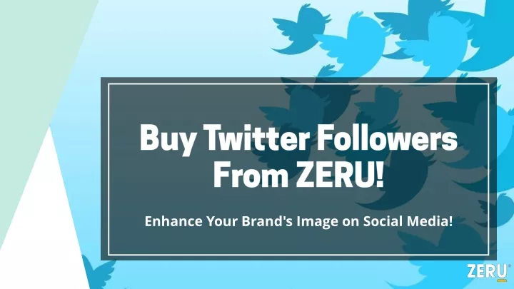 buy twitter followers from zeru