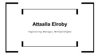 Attaalla Elroby - Providing Consultation in the Field of Electrical Engineering