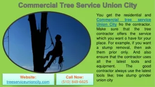 Commercial Tree Service Union City