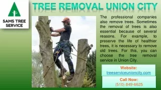 Tree Removal Union City