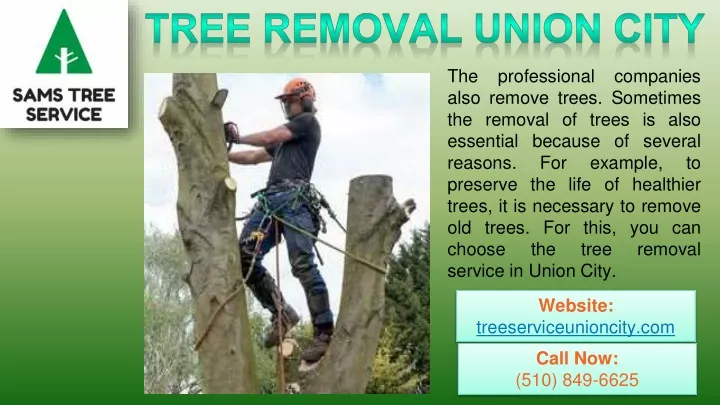 the also remove trees sometimes the removal