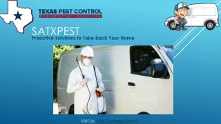 Termite Control San Antonio