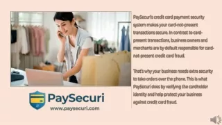PaySecuri - Credit Card Fraud Protection Services