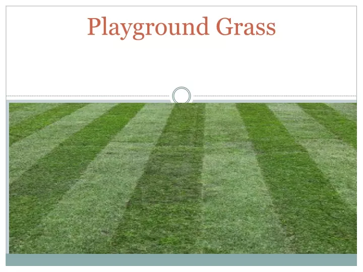 playground grass