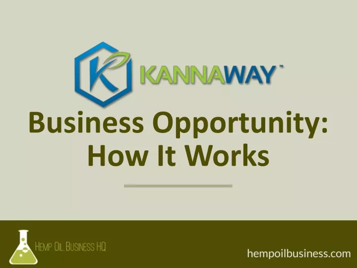 business opportunity how it works