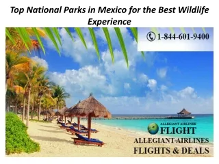 Top National Parks in Mexico for the Best Wildlife Experience