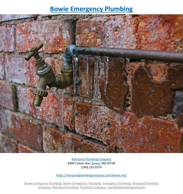 bowie emergency plumbing