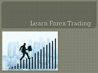 How Beginners Can Learn Forex Trading & Become Successful